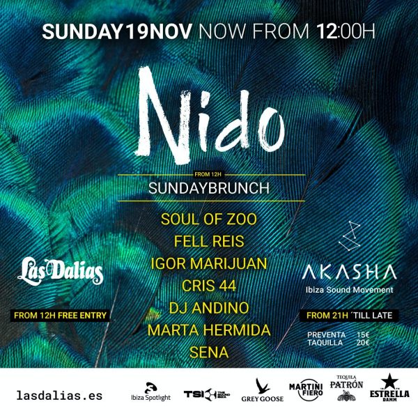 Las Dalias Akasha Ibiza Present Nido Ibiza By Night