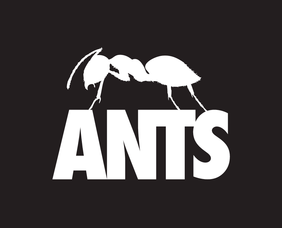 ANTS Ibiza announce two pre season parties! | Ibiza by night